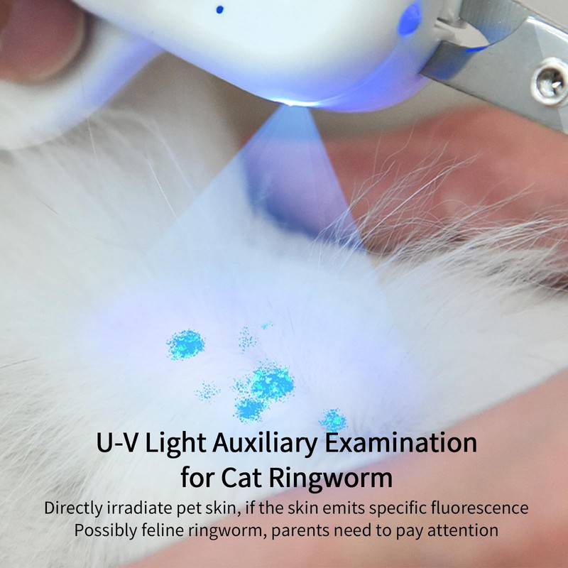 PAKEWAY Pet Nail Clipper with LED & -U-V Light, Cat