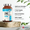 Zinc Tablets High Strength - 25mg Elemental Zinc – 365