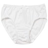 Atsugi 83006AS Women's Panties, Hijuni, Rayon Cotton, Mesh Style, Soft