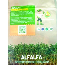 Todd’s Seeds - Alfalfa Sprouting Seeds - Easy to Grow - Fast Growing Seeds with High Sprout Germination (One Pound)