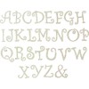 Unfinished Wood Letter 3" Blank & and Symbol Curlz Font