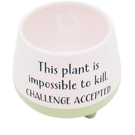 Witty Footed Planter, Fun Unique Decor, Funny Freestanding Tabletop Decoration, 4.25 Inches