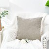 CaliTime Pack of 2 Cozy Throw Pillow Covers Cases for
