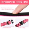 AUAUY Reflective Nylon Dog Collars, Double Security Adjustable Classic Pet
