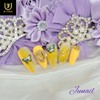 Butterfly Lettering Art Handmade Nail Tips - Long Nose Pin