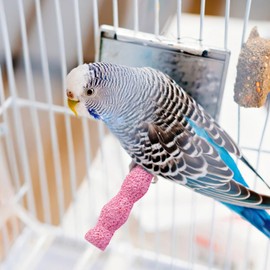 Large Gourd Small Ice Cream Bird Perches Set, Resin Nail Trimming Perches for Parakeets, Four Unique Perches for Cage, Non-Slip Surface, Easy to Install, Perfect for Birds' Beak Grinding