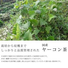 Gabai Farm, Domestically Produced, Handmade, Yacon Tea, 0.1 oz (3 g) x 40 Packs, Tea Pack, Additive-Free, Caffeinated Health Tea, Additive-Free, Produced in Nagano Prefecture