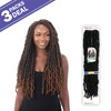 FreeTress Crochet Braids Distressed Loc 22" (3-pack, 2)