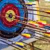 PATIKIL 350 Grain Archery Arrow Brass Insert, 12 Packs Insert