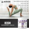 Reishi Mushroom Powder – Organic 10:1 Extract by Pacific Rim