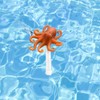 Floating Pool Thermometer for Water Temperature Thermometer for Swimming Pool