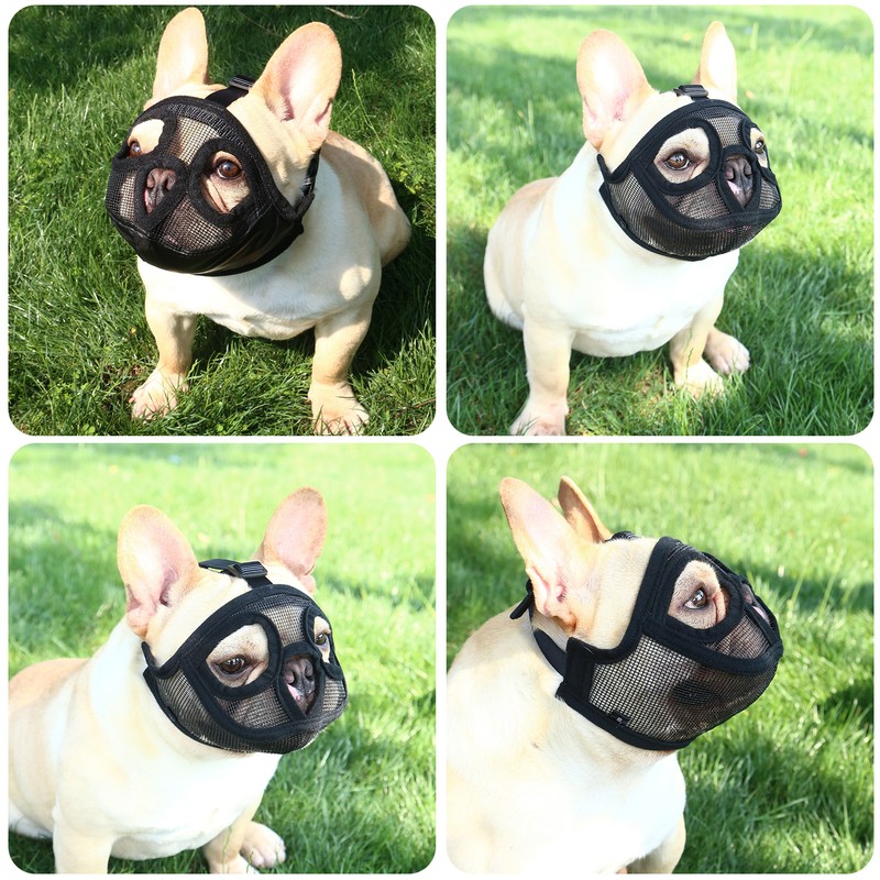 Short Snout Dog Muzzle Bulldog Muzzle Adjustable Breathable Mesh for