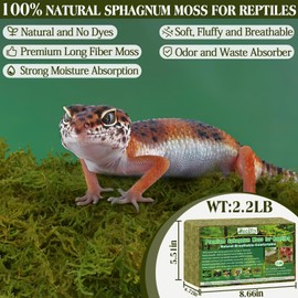 ZeeDix 2.2LBS Sphagnum Moss for Reptiles, 20QT Reptile Bedding Substrate Tank Accessories Terrarium Moss, Green Forest Moss for Leopards Geckos Snakes Turtles Frogs