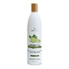 Shampoo de Bergamota anticaída e hidratante 480 ml Beohemp