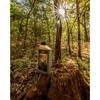 Evolved Habitats Mudhole Molasses Enriched Liquid Deer Mineral Attractant -