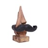 The Indian Arts Repose lunettes standard avec moustache noire en