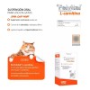 Felvital L Carnitina 80 Ml Holland (2 Pack)