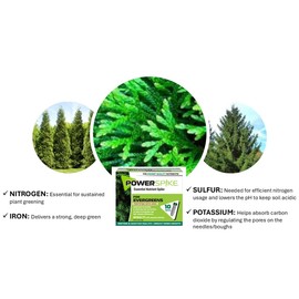 Power Spike for EVERGREENS, Fertilizer Spike. Essential Nutrient Spike Fortified with Iron to Feed All Types of evergreens and Address Common Deficiencies (10 Spikes - 3.2 lbs) (10)