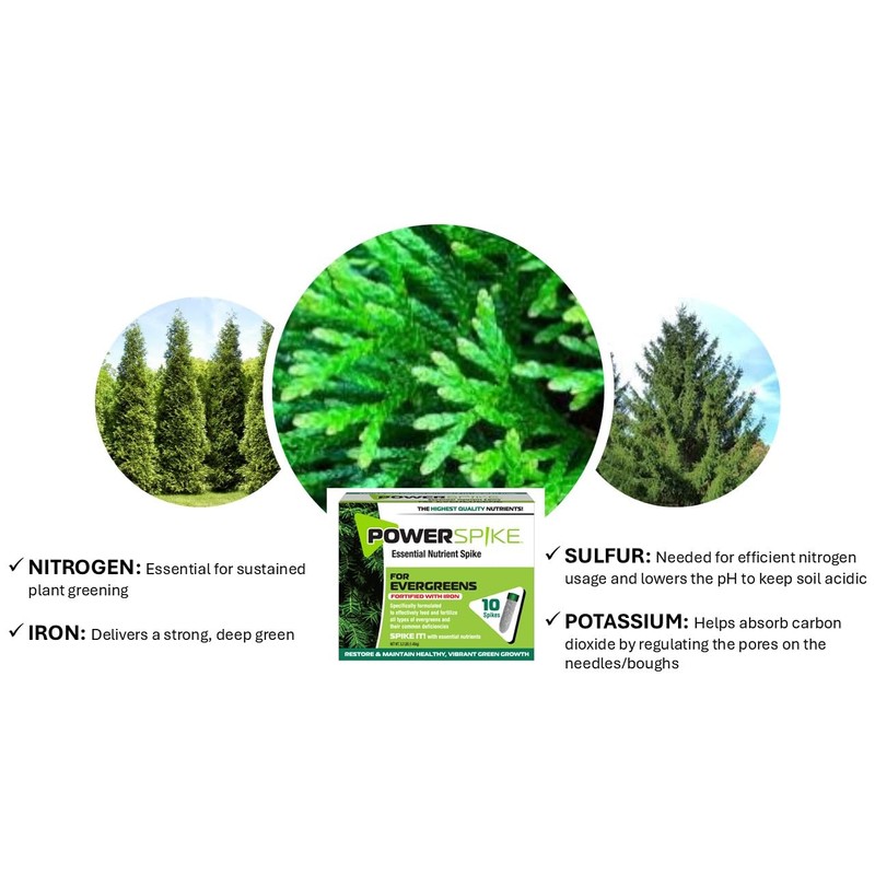 Power Spike for EVERGREENS, Fertilizer Spike. Essential Nutrient Spike Fortified