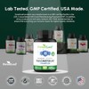 Forestleaf Complejo Magnesio 500mg Cápsulas Suplemento 500