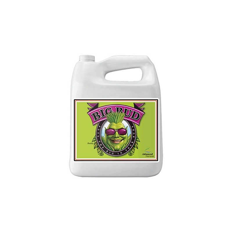 Advanced Nutrients GL525050-12 Big Bud Liquid Fertilizer, 250 mL, Brown/A