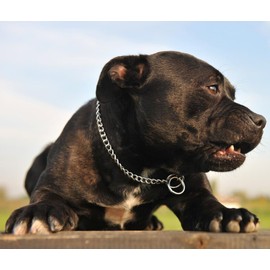 Chain Collar for Dogs, Stainless Steel Dog Chain Collars Slip Link Heavy Duty Training Martingale Collar for Small Medium Large Breed Dogs Boys Girls, Silver XXS