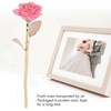 24K Gold Rose Dipped Golden Leaves Girlfriend Wife Valentine's Day