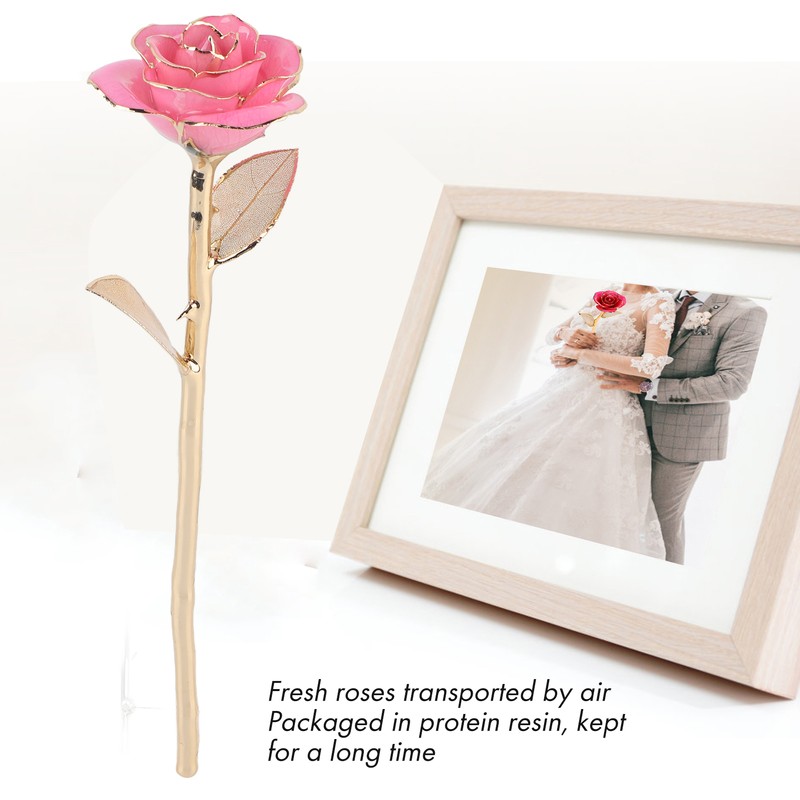 24K Gold Rose Dipped Golden Leaves Girlfriend Wife Valentine's Day