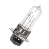 Caltric Headlight Halogen Bulb for Kawasaki Mule 3010 KAF620 4x4