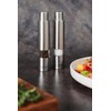 Bisetti Push Button Stainless Steel and Acrylic Salt Mill Grinder,
