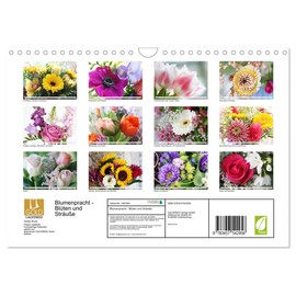 Blumenpracht - Blüten und Sträuße (Wandkalender 2026 DIN A4 quer), CALVENDO Monatskalender: Frische und erfrischende kleine Blumensträuße und Blütenporträts (CALVENDO Natur)