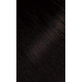 Bigen Powder Hair Color #48 Dark Chestnut 0.21oz (3 Pack)
