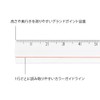 Midori Loupe Lens Ruler, 5.9 inches (15 cm), Transparent 42306006