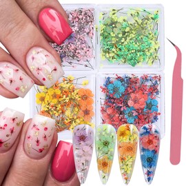 3D Dried Flowers Stickers for Nail Art 4 Boxes Daffodils Lace Mini Flowers Real Natural Pressed Floral Nail Decoration with Tweezers Dried Flower Decals for Nails Design Summer Manicure