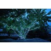 ‎Novelty Lights 35 LED 11.5FT Christmas String Lights, Christmas Lights