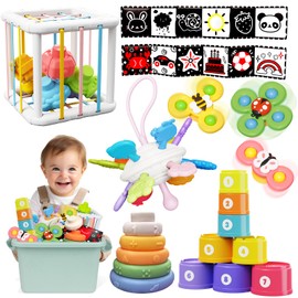 FLLOBE Baby Toys 6-12 Months, Montessori Toys for 1 Years Old, 6-in-1 Set Infant Toys with Storage Box, Sensory Toy, Spinner for Babies, Stacking Toy for Toddlers 1-3, Gifts for Baby Newborn