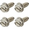 Four (4) Stainless Steel License Plate Screws (BCP253)