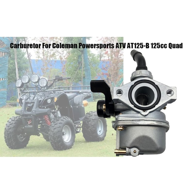 LIZAPUS Carburetor Carb Compatible with Coleman Powersports ATV AT125-B 125cc