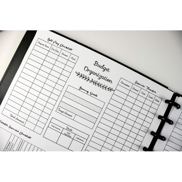 Monthly Budget At a Glance for Discbound Planners, Fits with