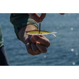 Fallout Minnow 4.25" Adjusta-Ball