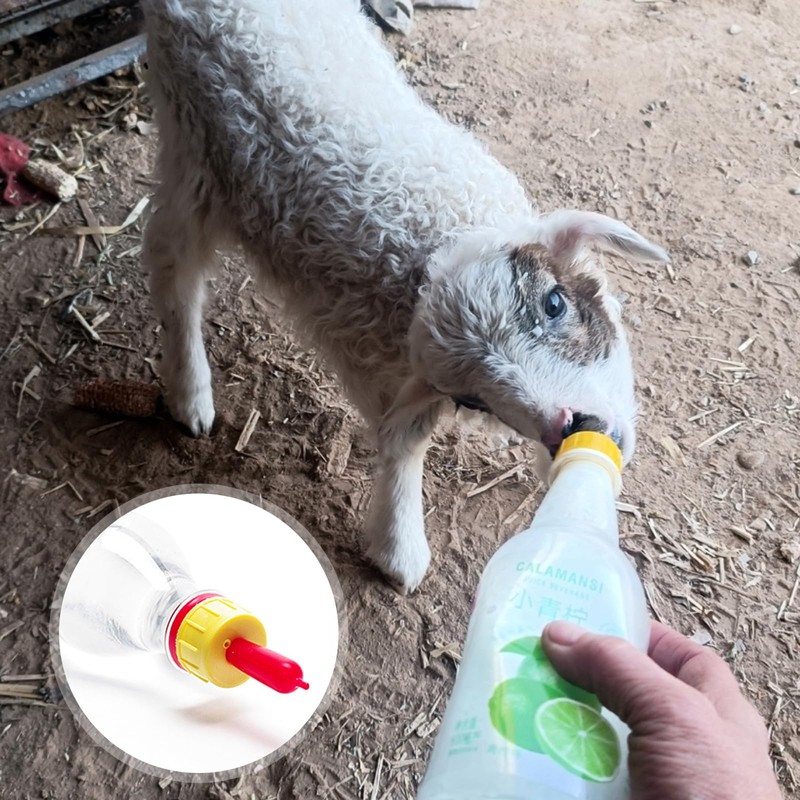 20-PCS Goat Nipples Nipple Soft Rubber Pacifier for Feeding Pup