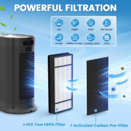 2 HEPA + 4 Carbon Filter, Compatible with Honeywell H Filter, True HEPA Replacement Filters H Compatible with Honeywell HRF-H1 HRF-H2 Fits Model HPA050, HPA150, HPA060, HPA160, HHT055, HHT155 Series