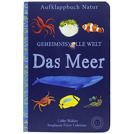 Aufklappbuch Natur - Geheimnisvolle Welt: Das Meer