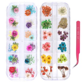 UNIME 24 Color Dry Flower Mini Appliques 3D Nail Decoration, Gypsophila Leaves