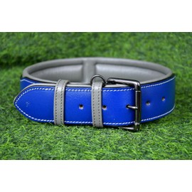 PAWSOFT Classic Luxury Real Leather | Collar de perro acolchado suave de piel genuino para perros medianos y grandes | piel con herrajes antioxidantes (tamaño - XL) se adapta a cuello 21, 22, 23, 24 y