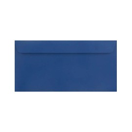 Pack of 25 Blue Envelopes DIN Long 110 x 220 mm Plike Royal Blue Luxury Envelopes Gummy Feel High-Quality DIN Long Envelopes Elegant Envelopes for Wedding Invitations Birthday Invitations