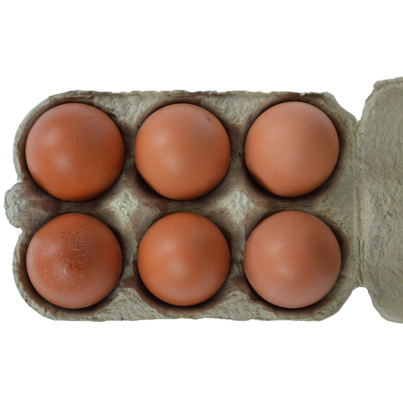 Supa Egg Boxes, 24-Piece, Traditional Fibre Egg Box, 100% Recyclable