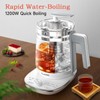 ICOOKPOT Hot Electric Kettle with Tea Infuser and Temperature Control,