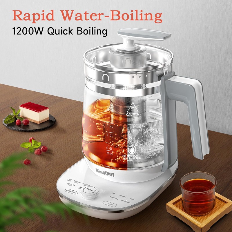 ICOOKPOT Hot Electric Kettle with Tea Infuser and Temperature Control,