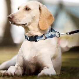 GUXL Martingale Dog Collars,Adjustable Soft Nylon Quick Release Buckle,No Pull Training Collar for Large Medium Small Dogs